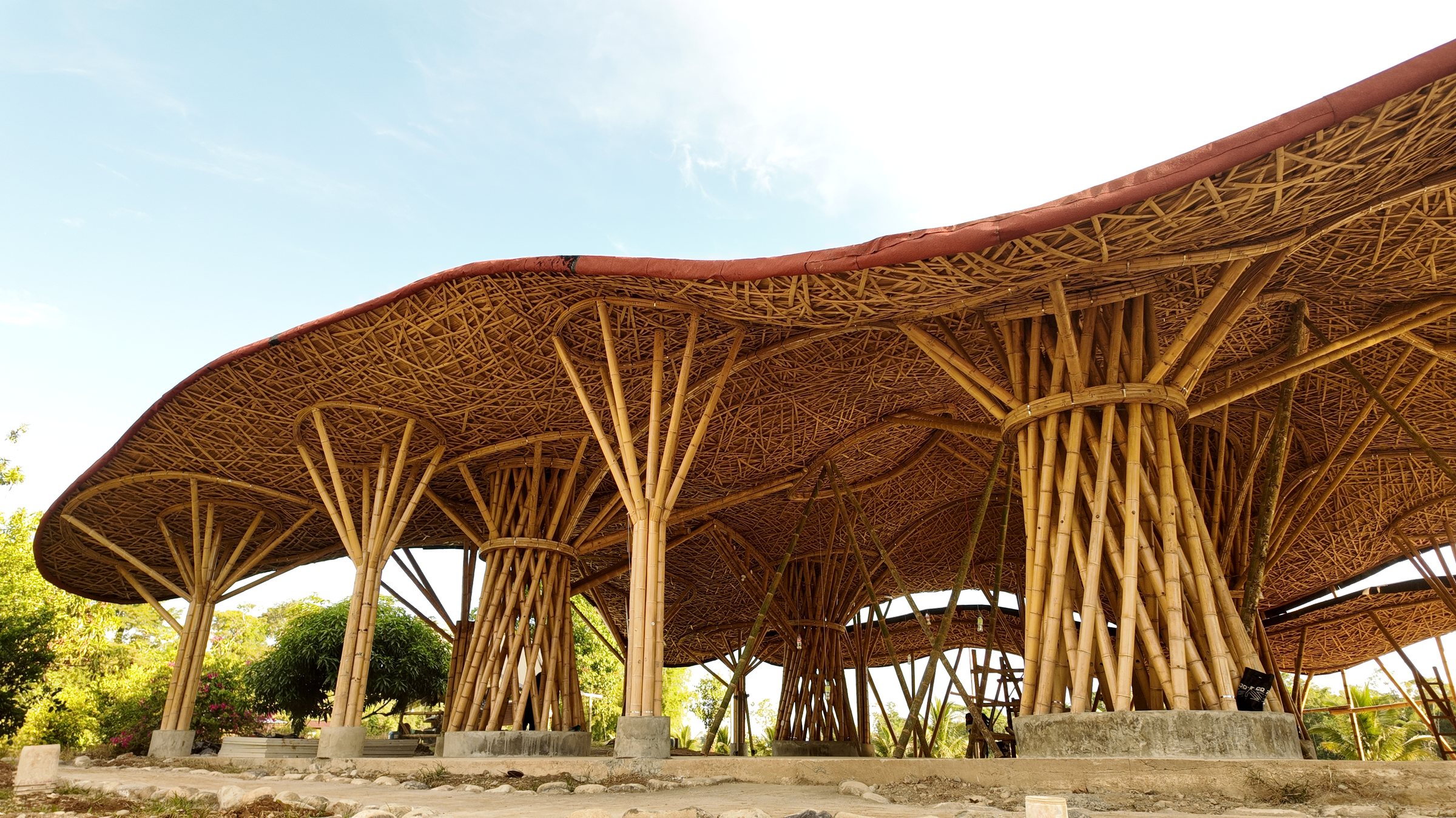 The woven guadua canopy of the cultural center at El Diviso, carried on its bamboo tree columns