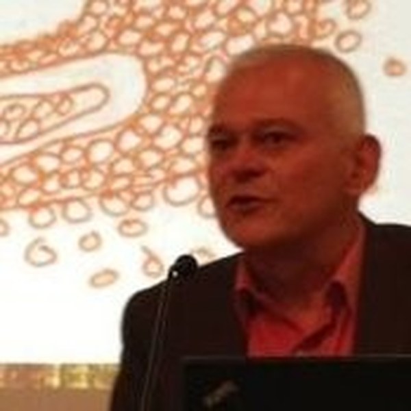 Prof. Andrés Bäppler