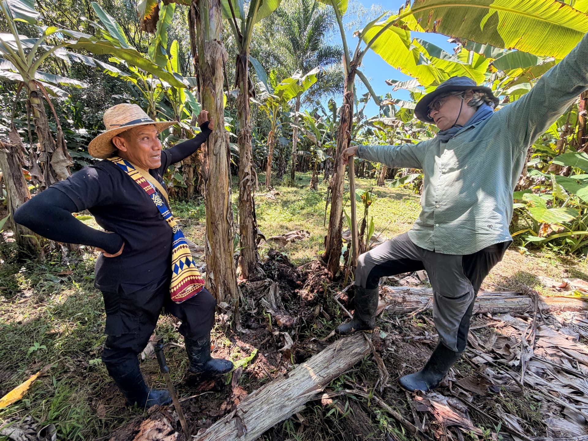 Surveying land for cacao and expanding food systems